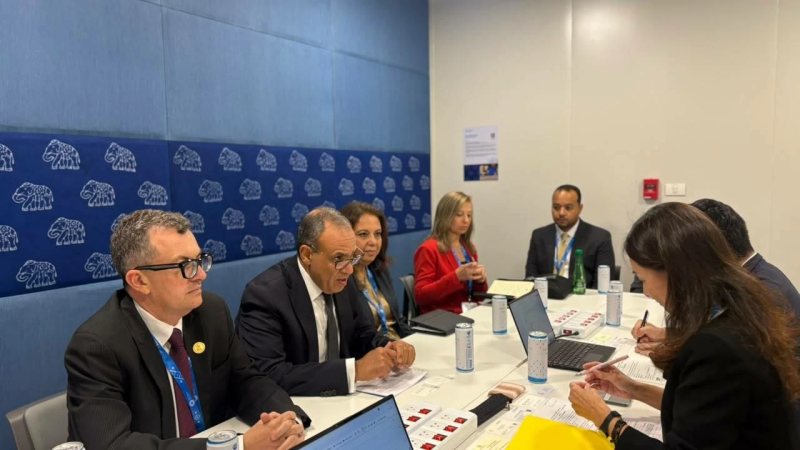 وزيرا التخطيط والخارجية يبحثان مع «جايكا» سبل تعزيز التعاون الاقتصادي وجذب الاستثمارات اليابانية