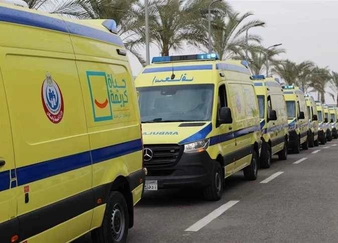 إصابة 4 أشخاص في انقلاب سيارة ربع نقل بالدقهلية