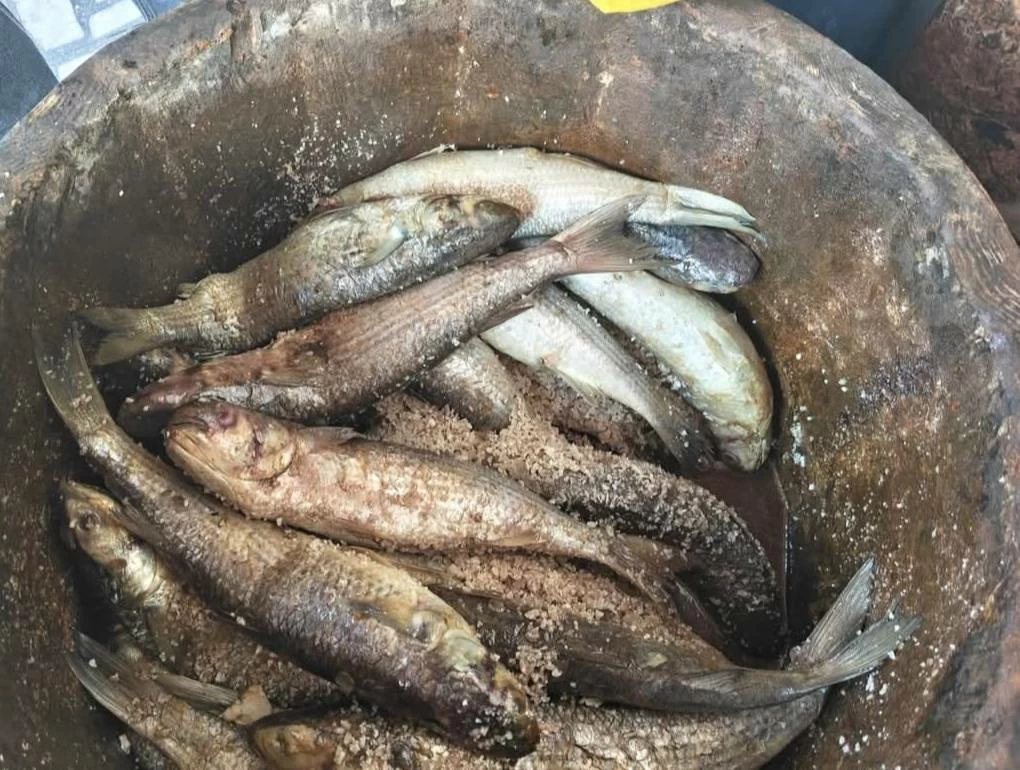 ضبط 150 كيلو فسيخ وسردين وإعدام 325 كيلو أغذية فاسدة بمولد إبراهيم الدسوقي