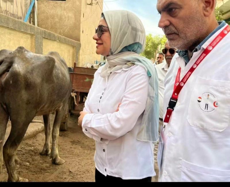 فحص 5955 حالة بالمجان.. قافلة بيطرية علاجية مجانية شاملة بوحدة «الحصة» بالقليوبية