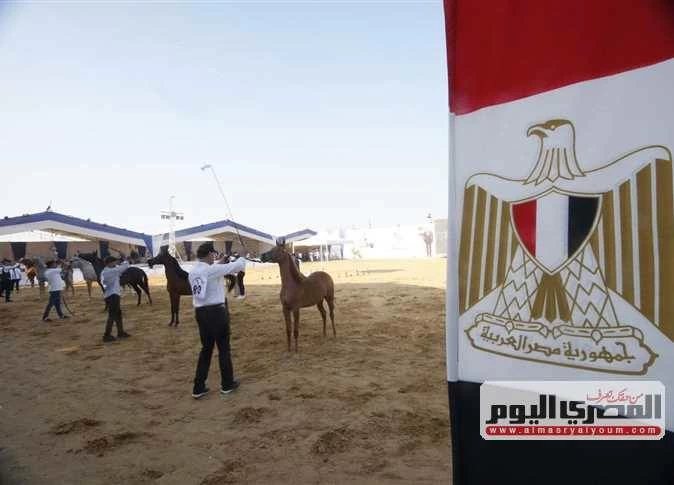 غدًا.. إجراء القرعة العلنية لبطولة أدب الخيل استعداداً لمهرجان الشرقية للخيول العربية