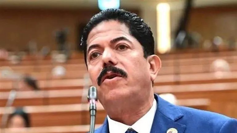 برلماني: توجيه الرئيس برفع الحد الأدنى للأجور يعكس الاهتمام بتحسين معيشة المواطنين