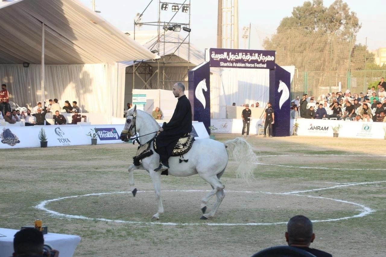 «أدب الخيل».. 61 حصانا تستعرض عراقة التراث العربي في ثالث أيام مهرجان الشرقية