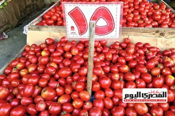 أسعار الخضروات والفاكهة اليوم السبت في أسواق مطروح